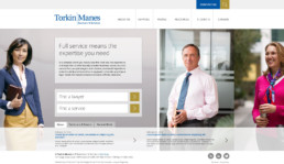 torkin manes website