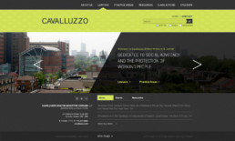 cavaluzzo website